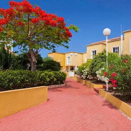 Orlando Apartamento Lägenhet Costa Adeje (Tenerife)
